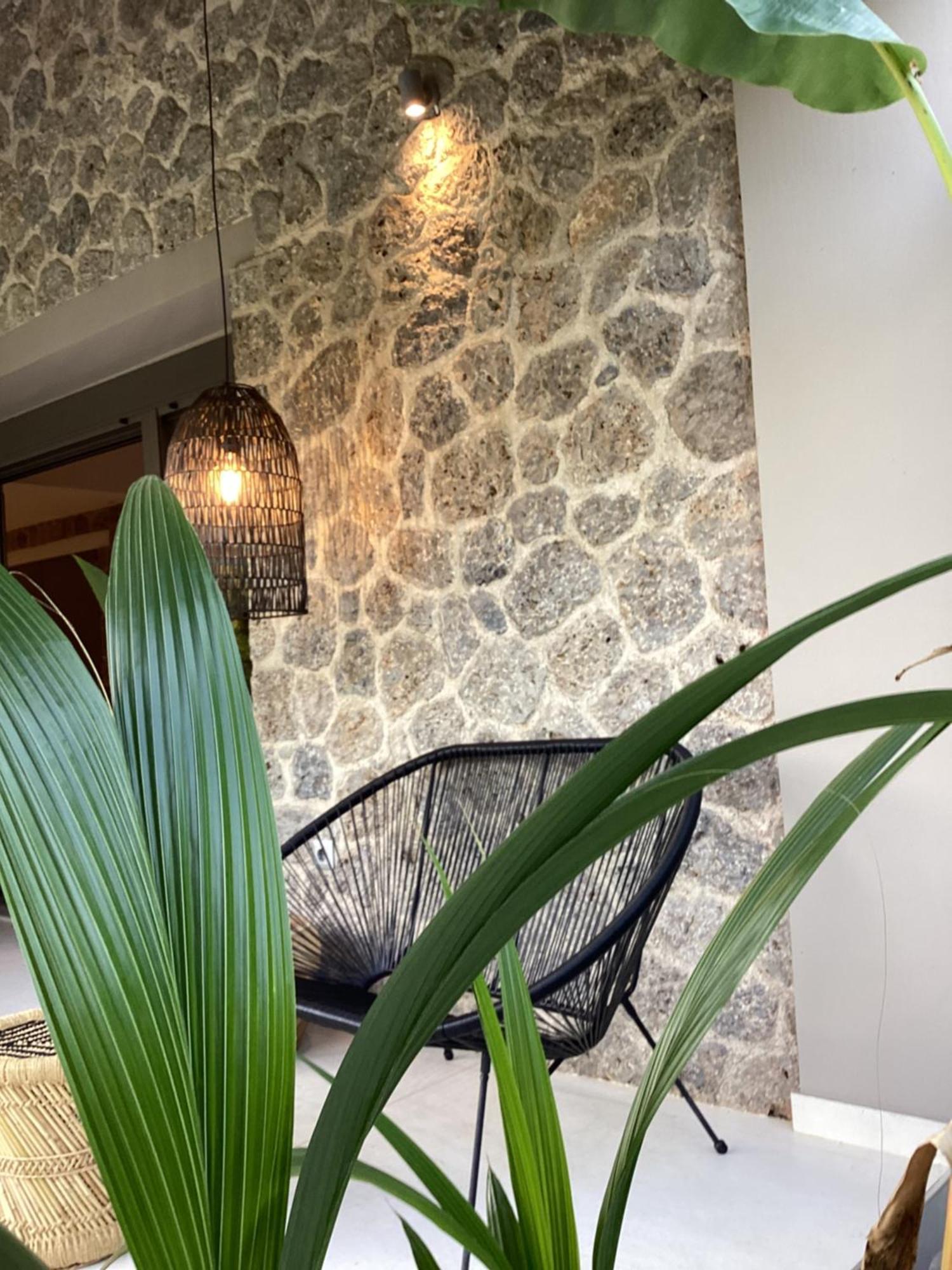 Villa Tartaya Дасия Екстериор снимка
